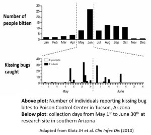 Kissing Bugs – SECVBD