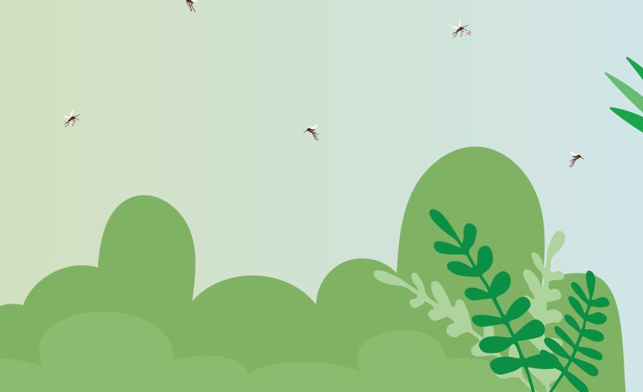 Illustration of several mosquitoes flying above green shrub-like vegetation in an outdoor setting with soft gradient lighting in the background.