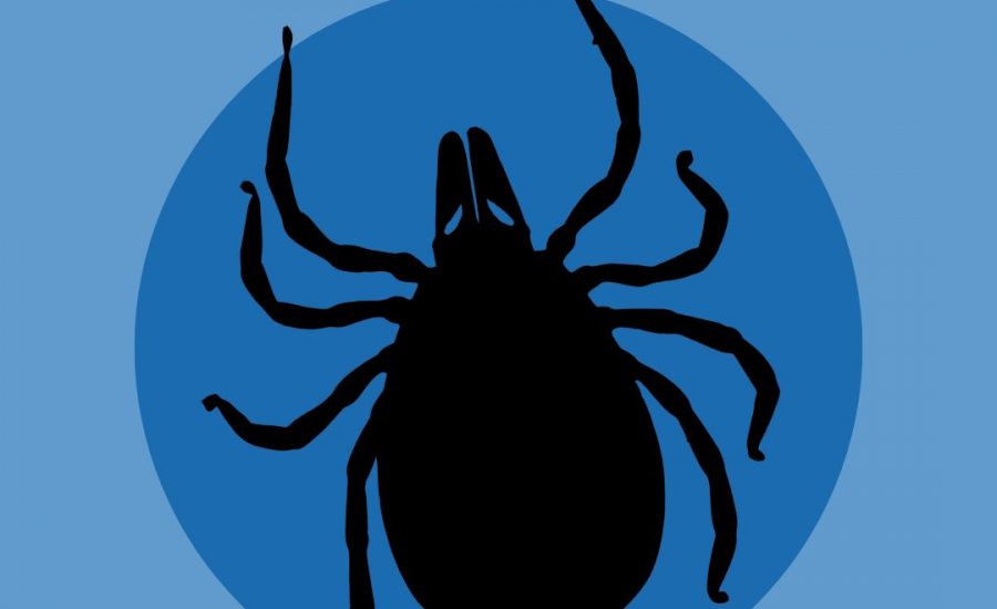 Blue graphic featuring a large tick silhouette with text that reads “May is Lyme Disease awareness month!” and “here’s what you need to know to protect yourself.”