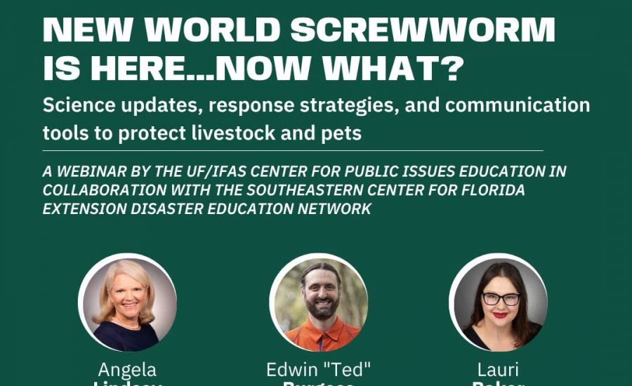 Promotional webinar flyer with a dark green background. The flyer announces: “New World Screwworm Is Here… Now What?” and highlights science updates, response strategies, and communication tools to protect livestock and pets. The webinar is scheduled for June 30, 2026, from 12:00 p.m. to 1:00 p.m. EDT. The event is described as a webinar by the UF/IFAS Center for Public Issues Education in collaboration with the Southeastern Center for Florida Extension Disaster Education Network. Three circular speaker headshots are displayed with the names Angela Lindsey, Edwin “Ted” Burgess, and Lauri Baker beneath them. At the bottom are organizational logos, including the Florida EDEN (Extension Disaster Education Network) logo and the Southeastern Center of Excellence in Vector-Borne Disease logo. The design uses white text and logos against a dark green background.