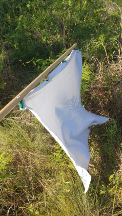 Tick flag used to collect questing ticks
